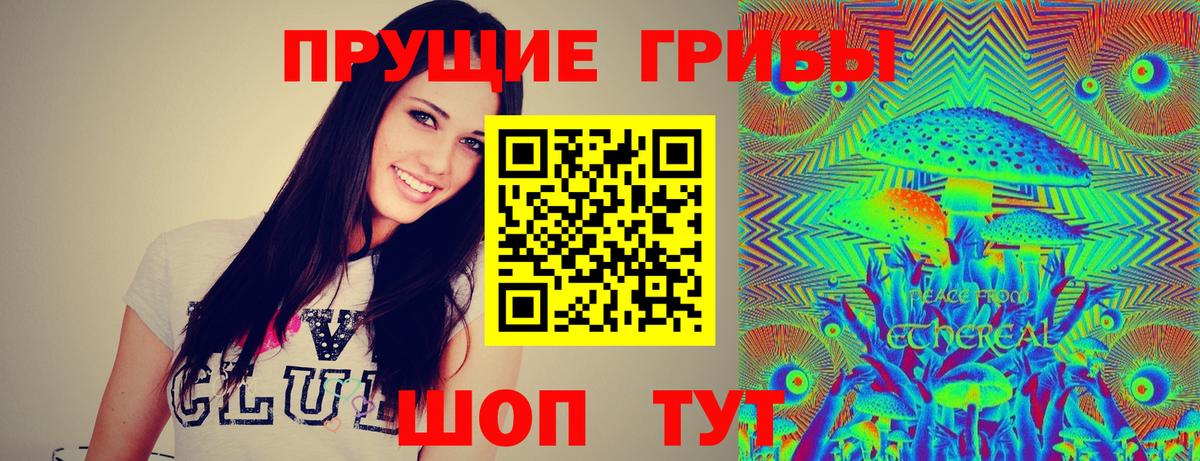 Галлюциногенные грибы Magic Shrooms  Вход с VPN  Усть-Джегута  Псилоцибиновые грибы Psilocybine cubensis 