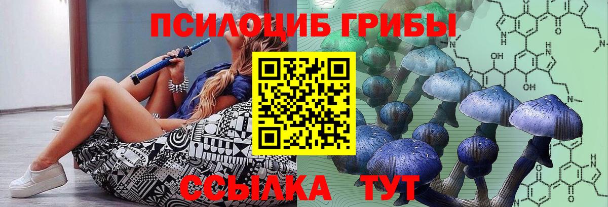 Псилоцибиновые грибы Psilocybe Усть-Джегута